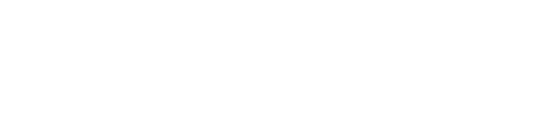 Plugnotes logo